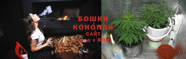 PSILOCYBIN Армянск