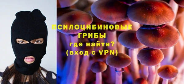 PSILOCYBIN Армянск