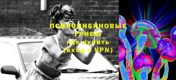 спайс Аркадак