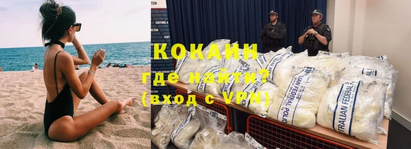 spice Богданович