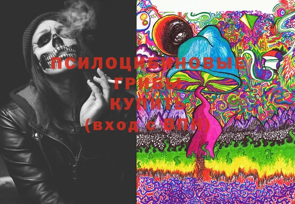 PSILOCYBIN Армянск