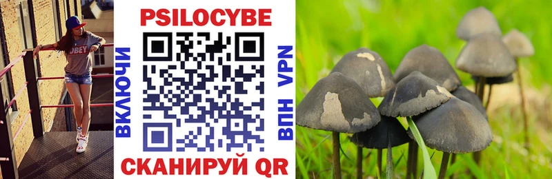 Купить  Сенгилей  Галлюциногенные грибы MAGIC MUSHROOMS 